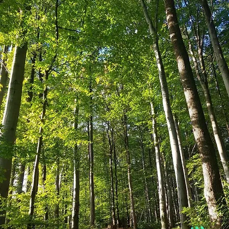 Szyndzielnia Rodzinne - 2 Sypialnie & Balkon & Gory & Parking - Twoja Baza Wypadowa Na Szlaki I W Gory - Family Space & Base Bílsko-Bělá