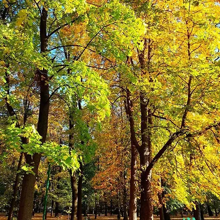 Apartmán Szyndzielnia Rodzinne - 2 Sypialnie & Balkon & Gory & Parking - Twoja Baza Wypadowa Na Szlaki I W Gory - Family Space & Base Bílsko-Bělá