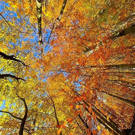 Apartamento Rodzinne Szyndzielnia - 2 Sypialnie&balkon&góry&parking