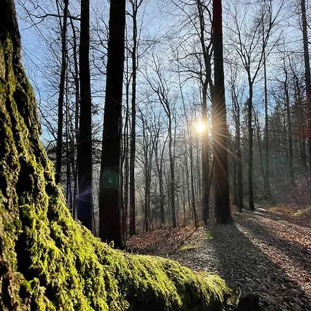 Rodzinne Szyndzielnia - 2 Sypialnie&balkon&góry&parking Apartamento *