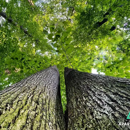 Rodzinne Szyndzielnia - 2 Sypialnie&balkon&góry&parking Apartamento Bielsko-Biała