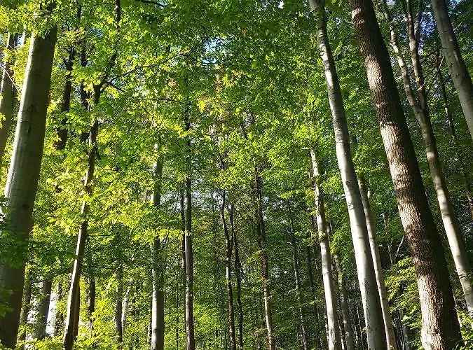 Szyndzielnia Rodzinne - 2 Sypialnie & Balkon & Gory & Parking - Twoja Baza Wypadowa Na Szlaki I W Gory - Family Space & Base Bielsko-Biała