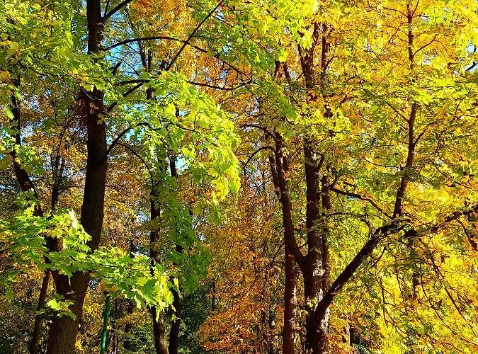 Lägenhet Szyndzielnia Rodzinne - 2 Sypialnie & Balkon & Gory & Parking - Twoja Baza Wypadowa Na Szlaki I W Gory - Family Space & Base Bielsko-Biała