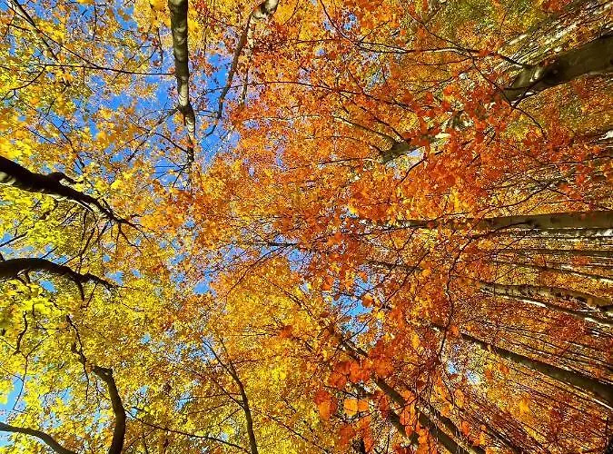 Lägenhet Szyndzielnia Rodzinne - 2 Sypialnie & Balkon & Gory & Parking - Twoja Baza Wypadowa Na Szlaki I W Gory - Family Space & Base