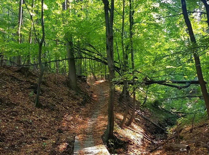 Szyndzielnia Rodzinne - 2 Sypialnie & Balkon & Gory & Parking - Twoja Baza Wypadowa Na Szlaki I W Gory - Family Space & Base