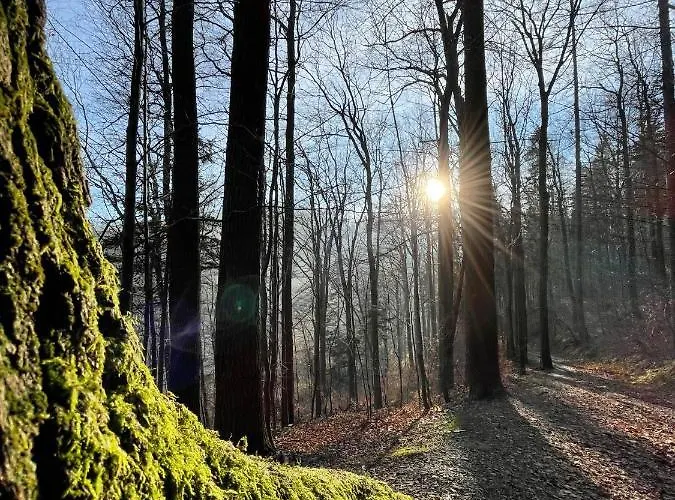Szyndzielnia Rodzinne - 2 Sypialnie & Balkon & Gory & Parking - Twoja Baza Wypadowa Na Szlaki I W Gory - Family Space & Base Lägenhet *