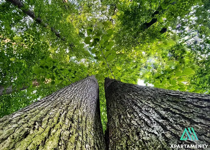 Szyndzielnia Rodzinne - 2 Sypialnie & Balkon & Gory & Parking - Twoja Baza Wypadowa Na Szlaki I W Gory - Family Space & Base דירה ביילסקו-ביאלה