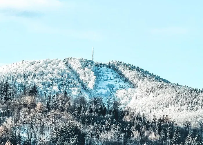 Szyndzielnia Rodzinne - 2 Sypialnie & Balkon & Gory & Parking - Twoja Baza Wypadowa Na Szlaki I W Gory - Family Space & Base דירה *